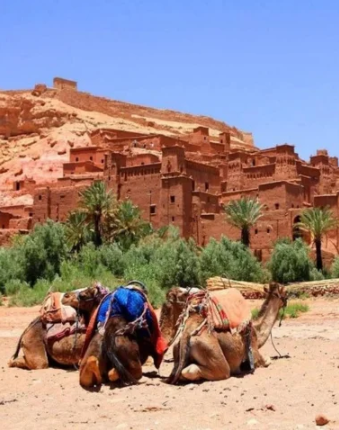 Excursions sur mesure